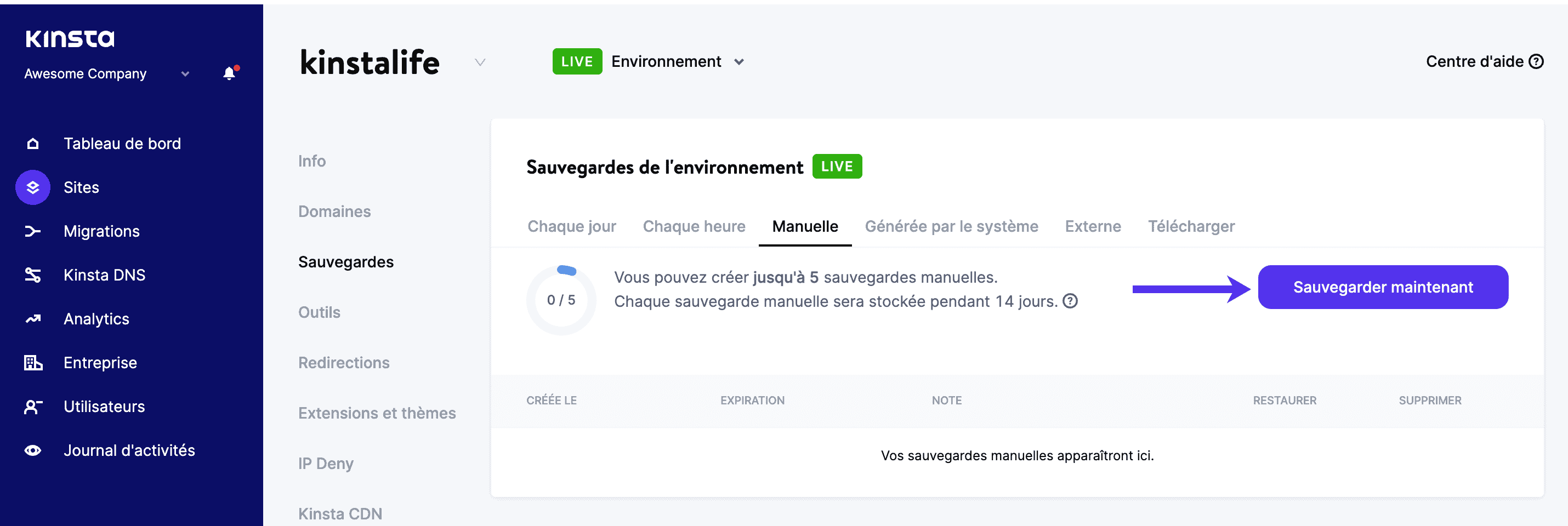 Sauvegarde du site WordPress dans MyKinsta