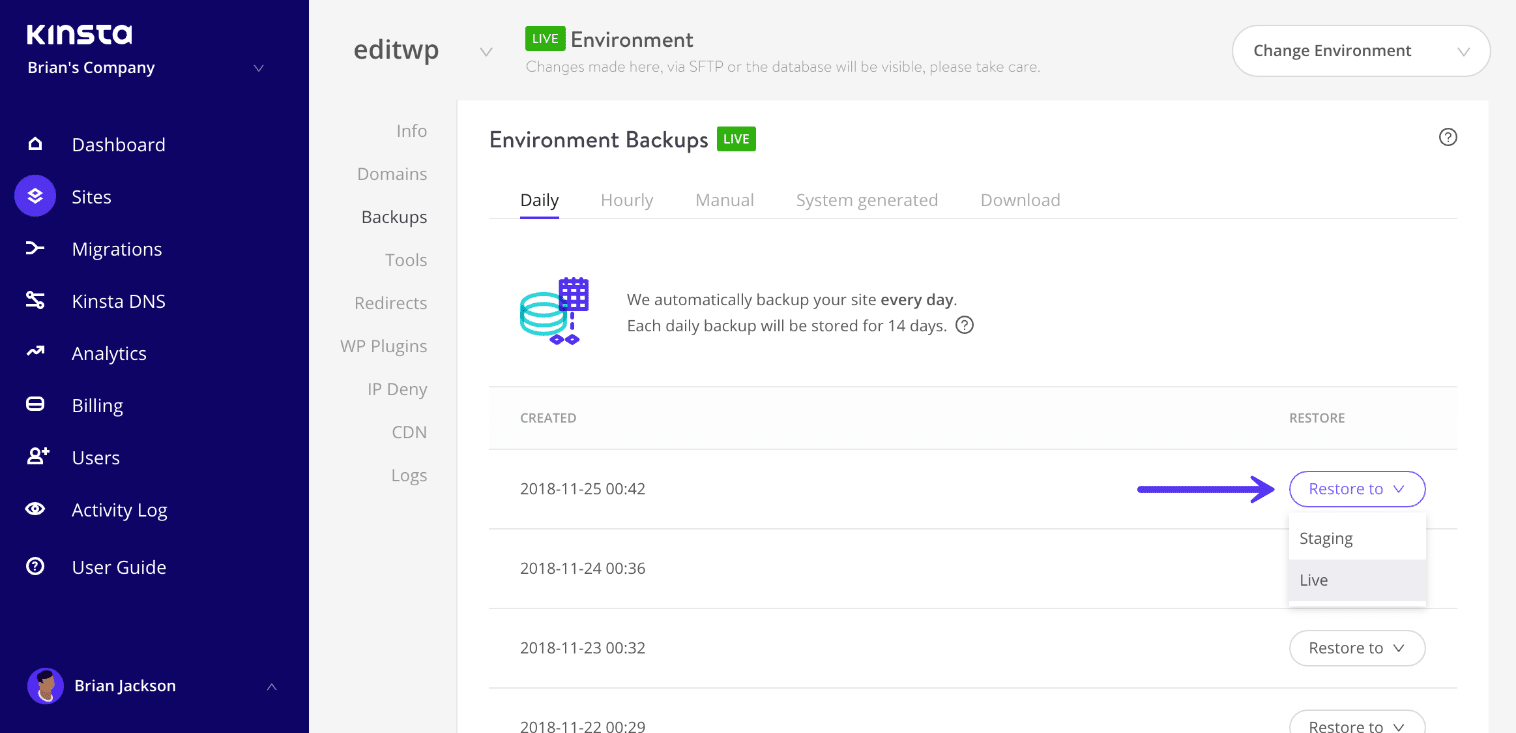 Ripristinare un Backup di WordPress