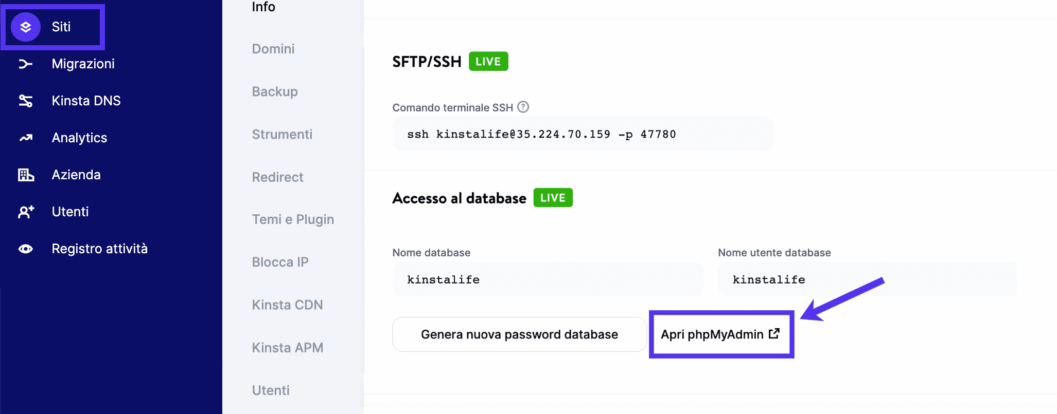 Come accedere a phpMyAdmin su Kinsta