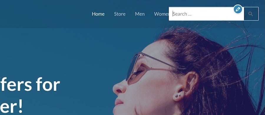 Esempio dell'aspetto di una barra di ricerca WordPress di base