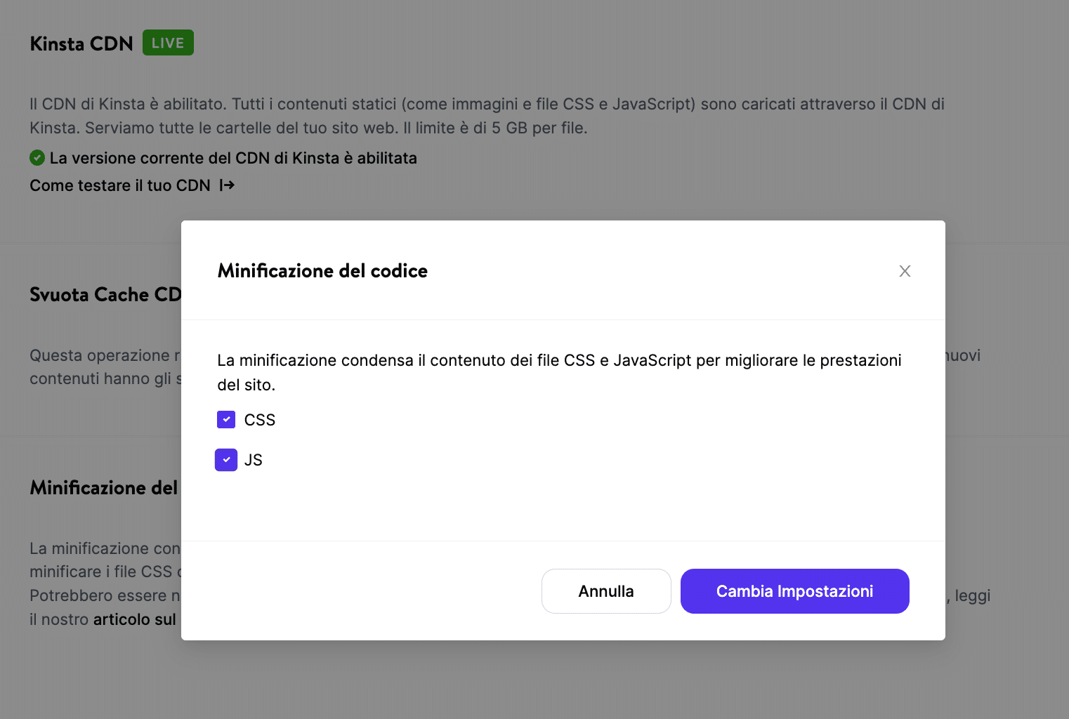 Lo strumento 'Code minification' in MyKinsta.