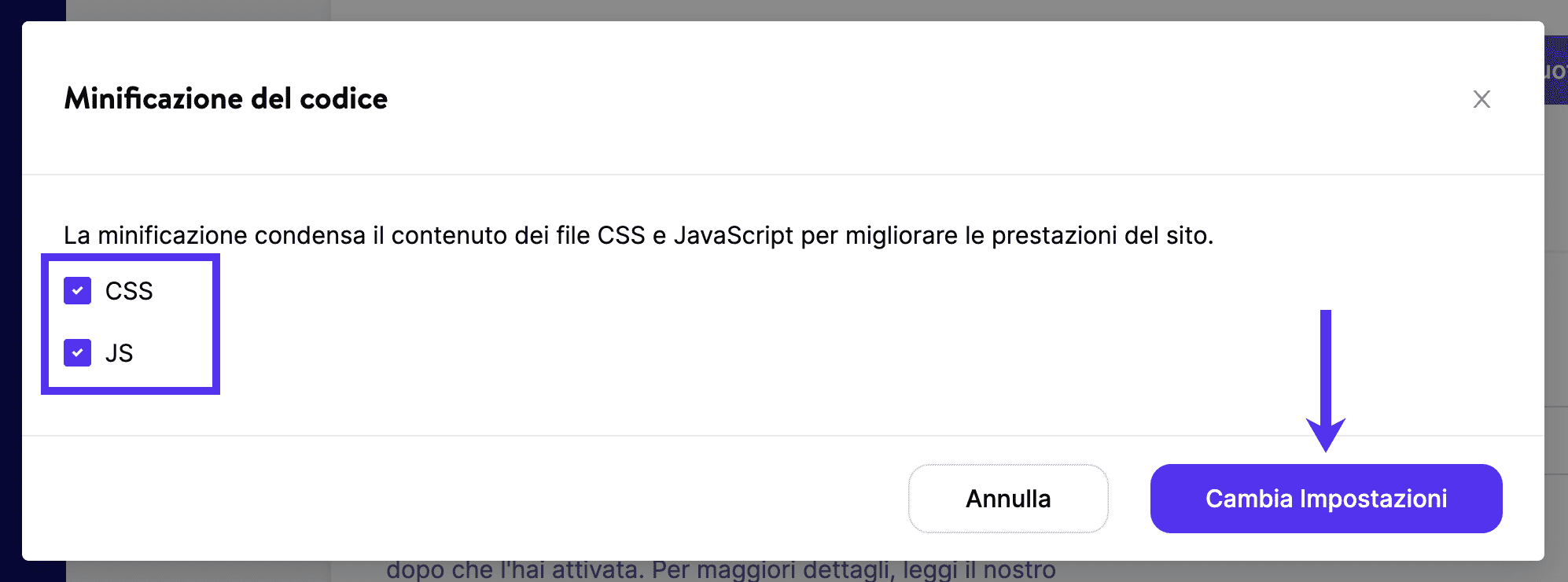 Regolazione delle impostazioni di minificazione del codice in Kinsta CDN.