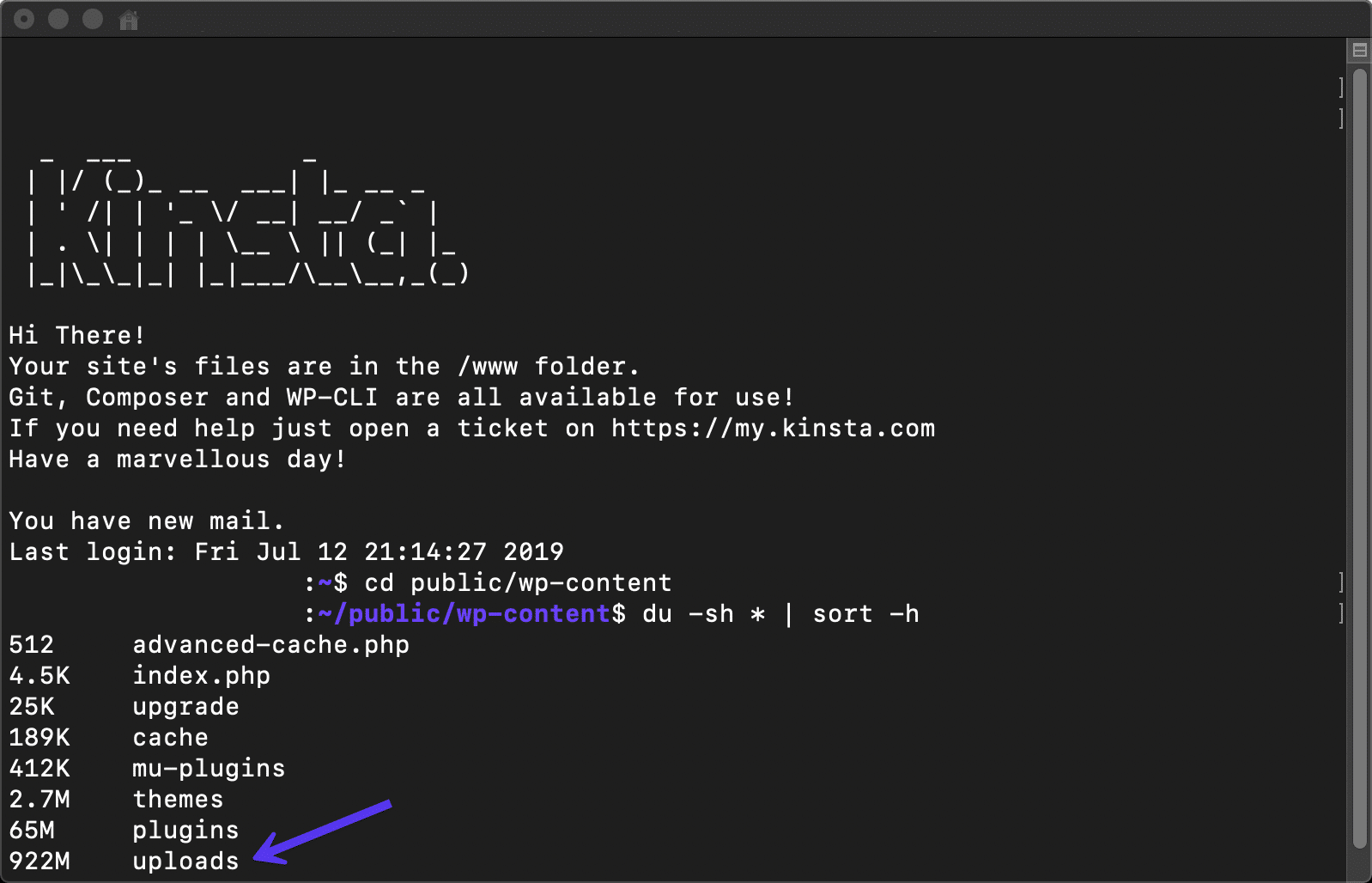 SSHでディスク使用状況を確認する