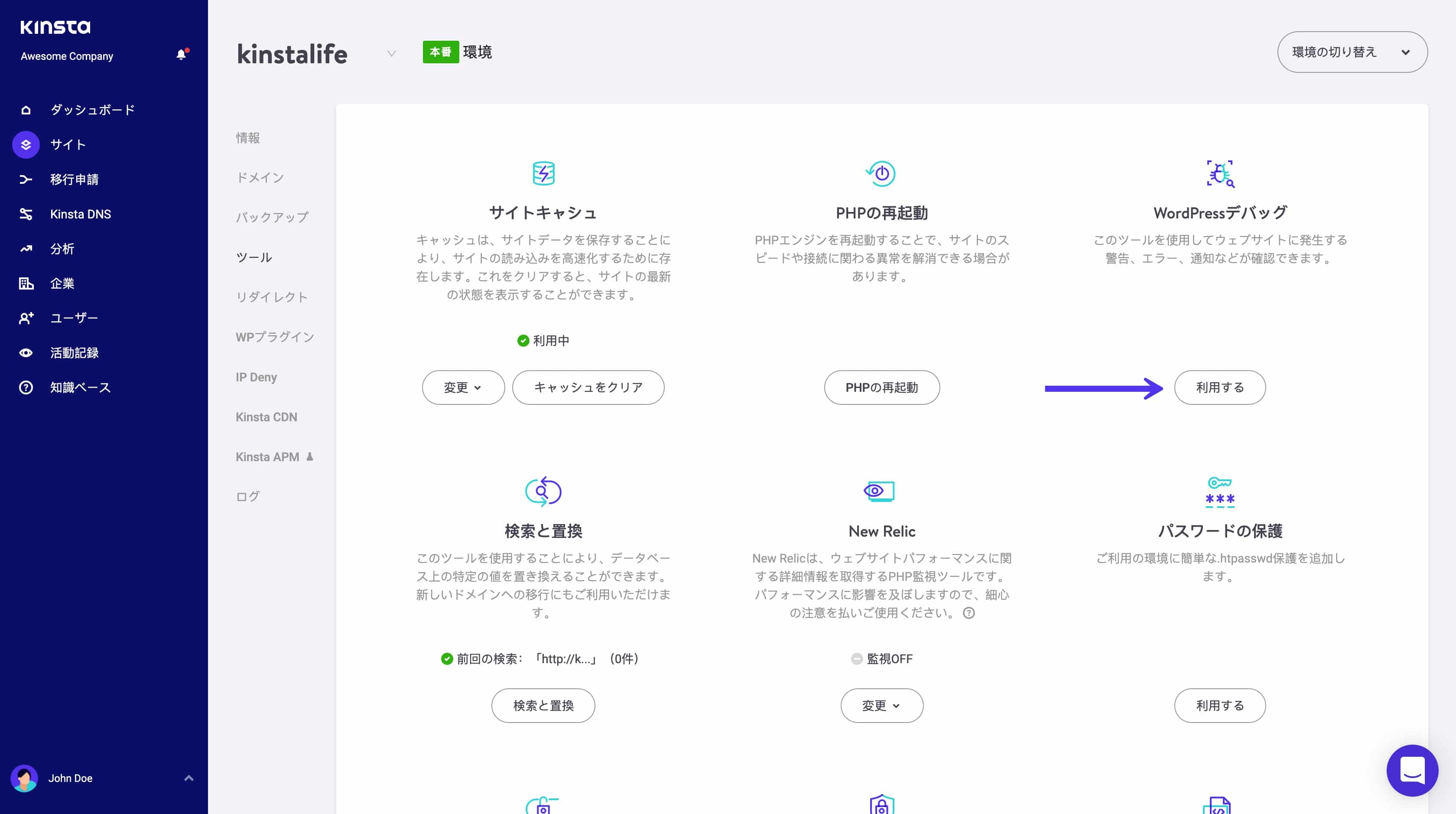 MyKinstaで有効にしたデバッグモード