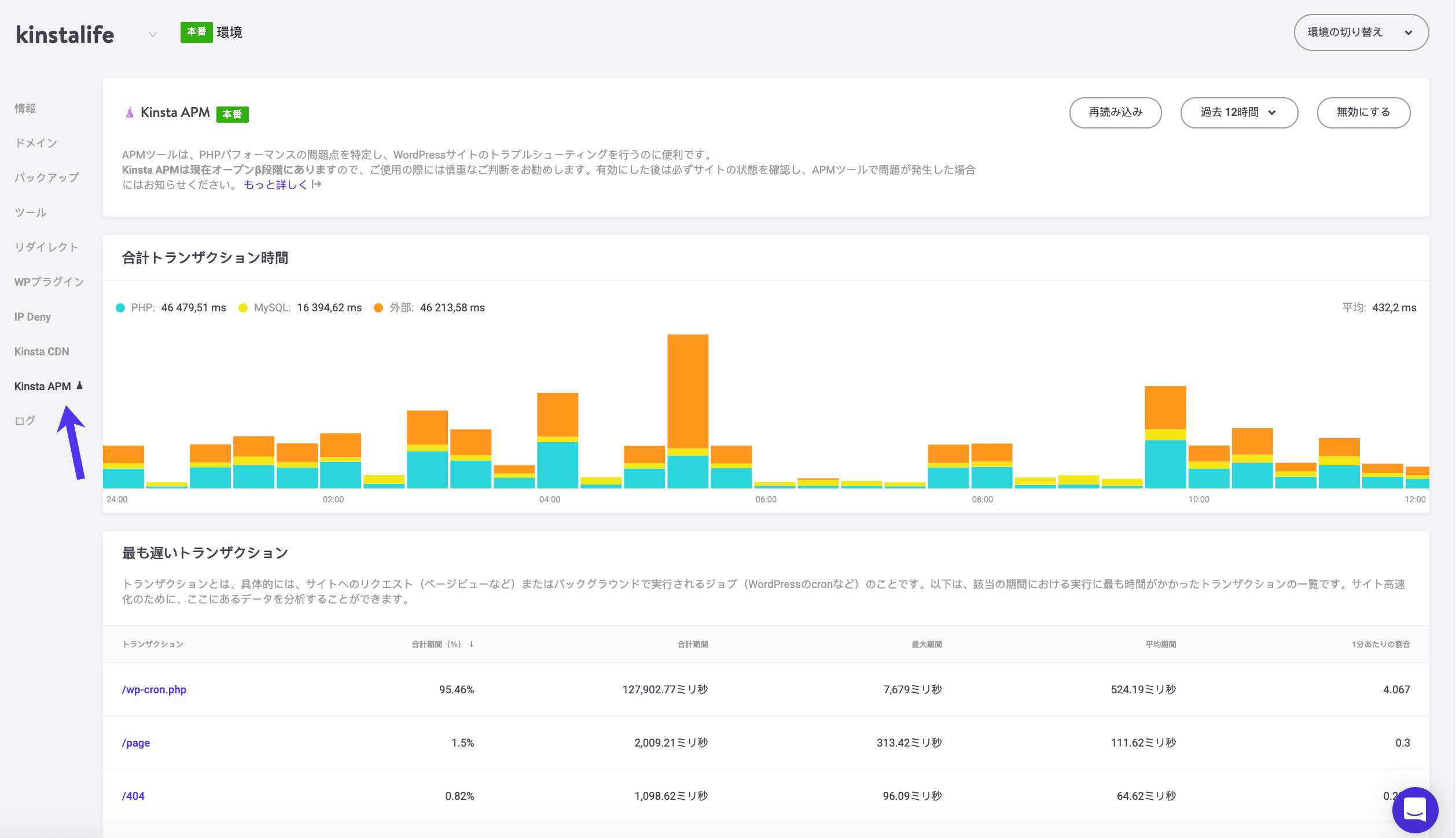 KinstaAPMツールのベータ版のスクリーンショット