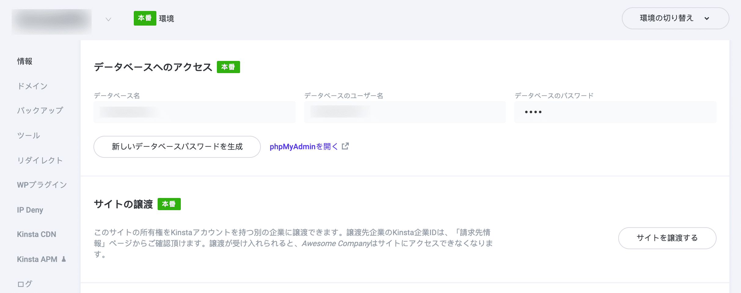 MyKinstaの「情報」タブ