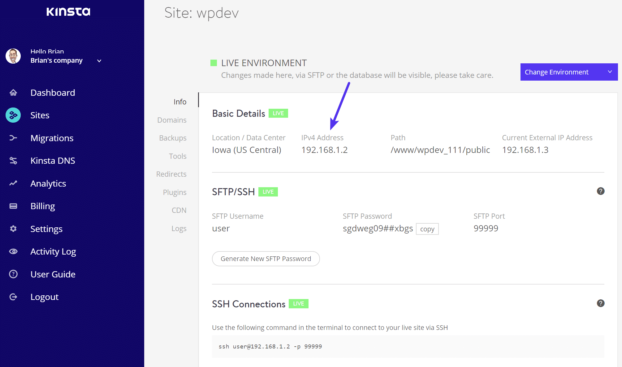 Endereço IPv6 do WordPress