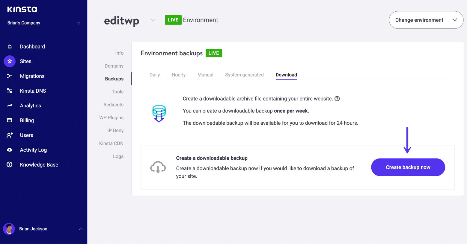 Criar backup manual do WordPress