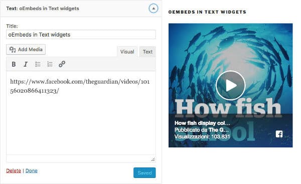 Text widget