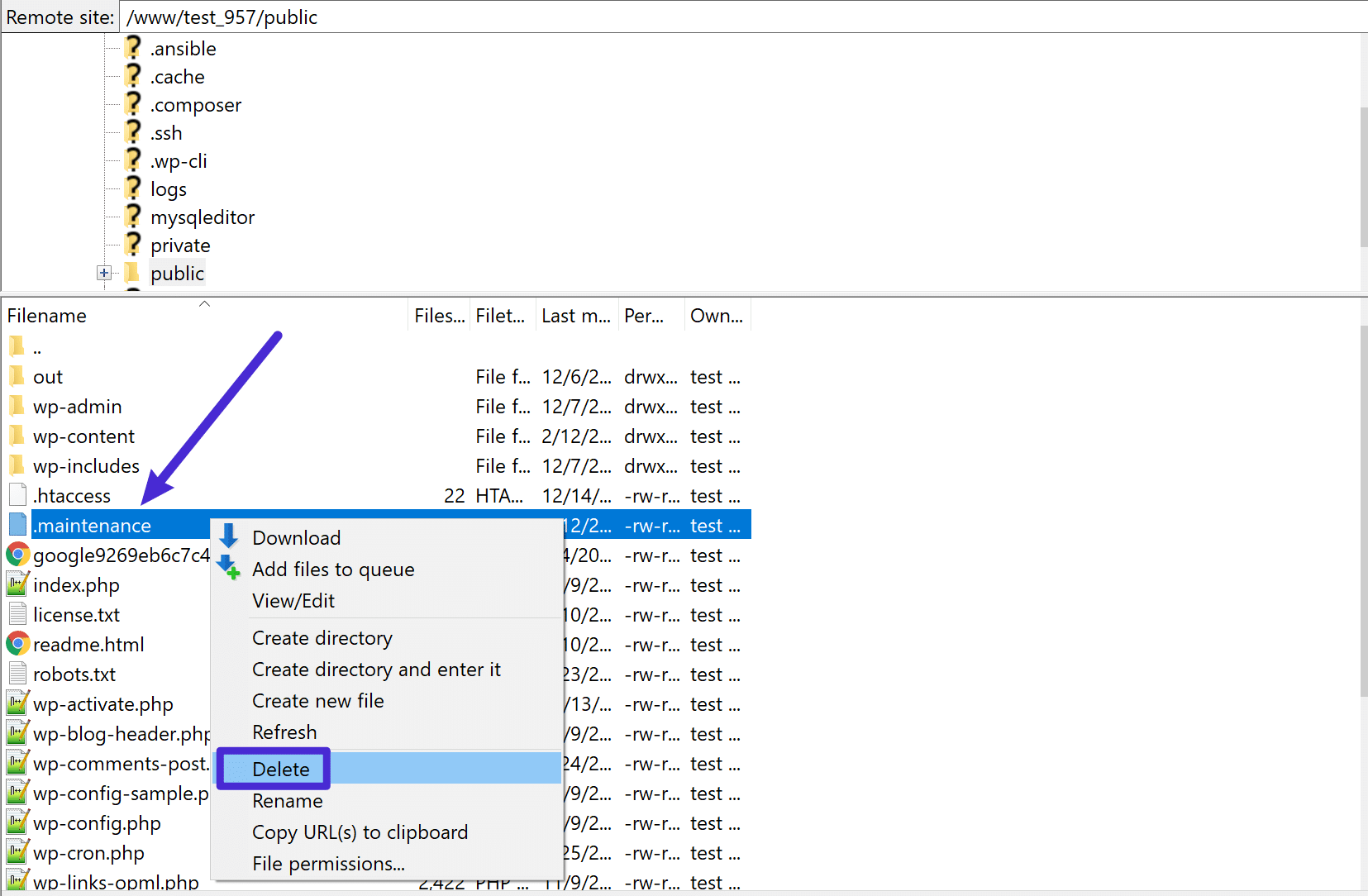 Delete the .maintenance file
