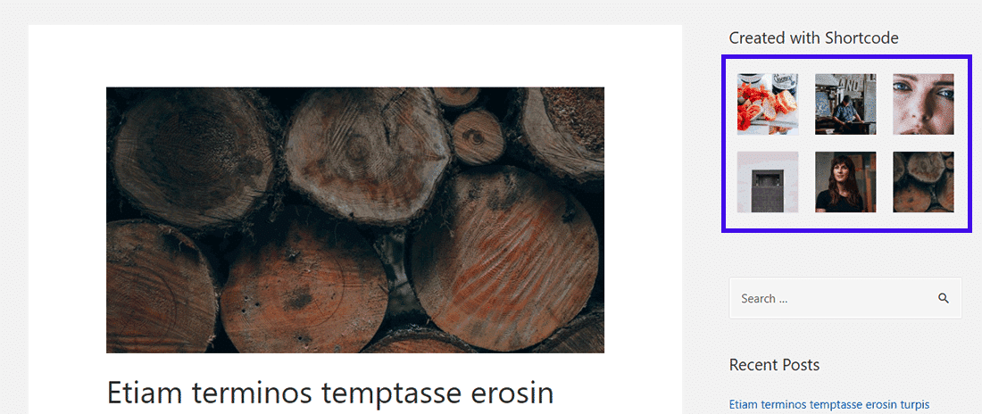 The gallery shortcode's output on the frontend