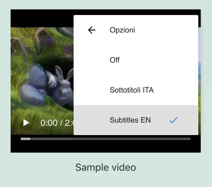 Användarinställningar för videoundertexter