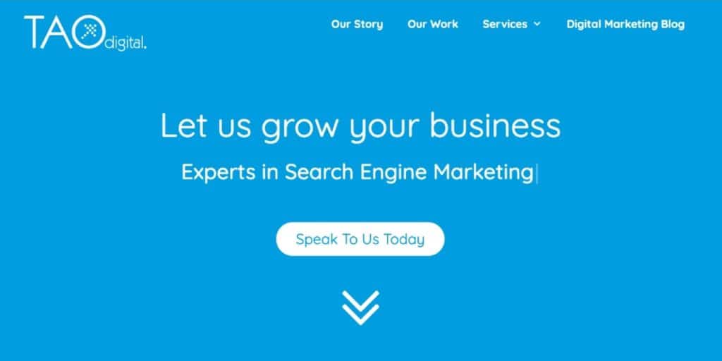 Tao Digital Marketing's website homepage