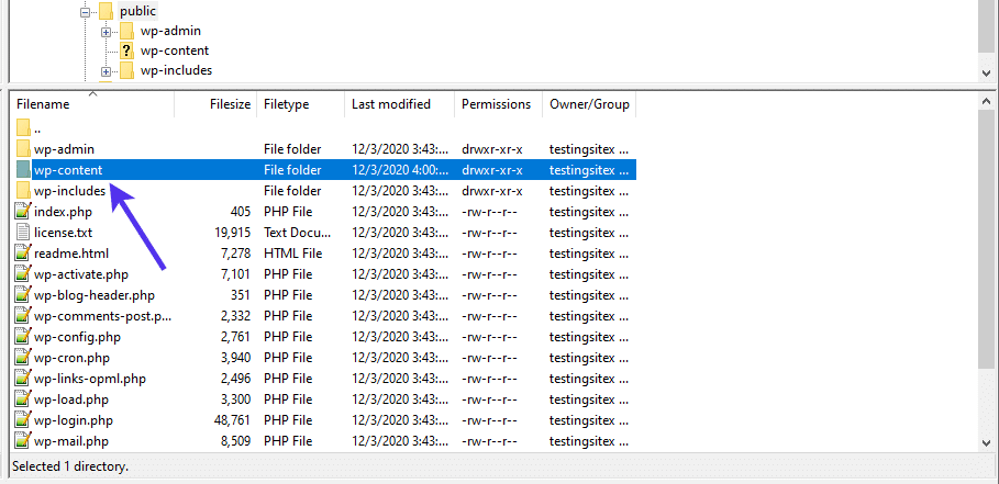 Der Ordner wp-content enthält Mediendateien.