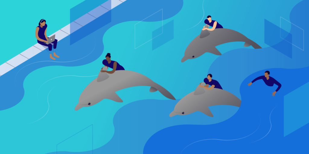 MySQL Community Server, featured image, illustration.