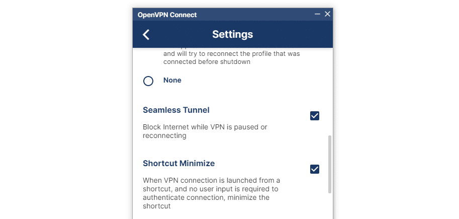 The OpenVPN software showing the 