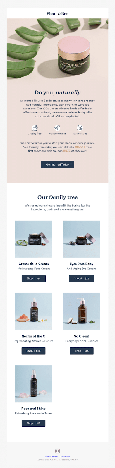 Newsletter ecommerce Fleur and Bee