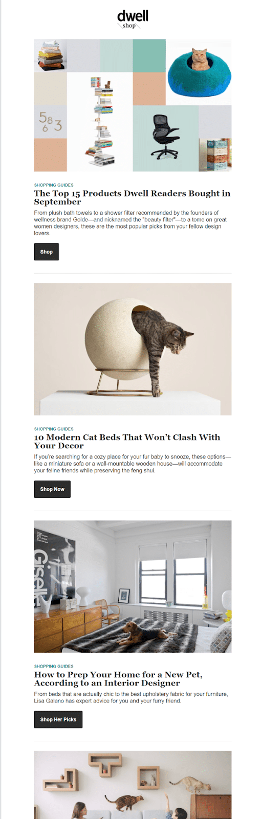 Promozione dei contenuti nella newsletter di Dwell