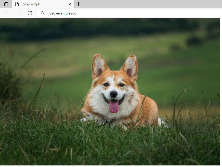 You can use a browser to open an SVG file