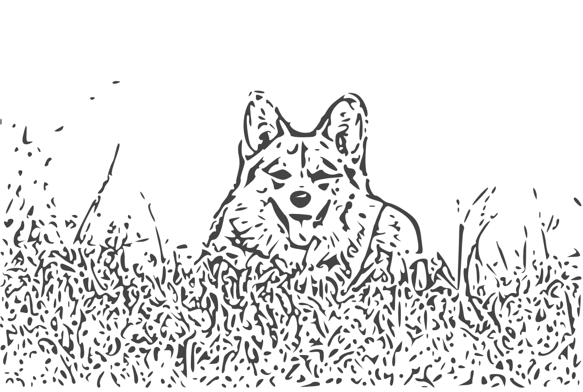 A JPEG converted to SVG