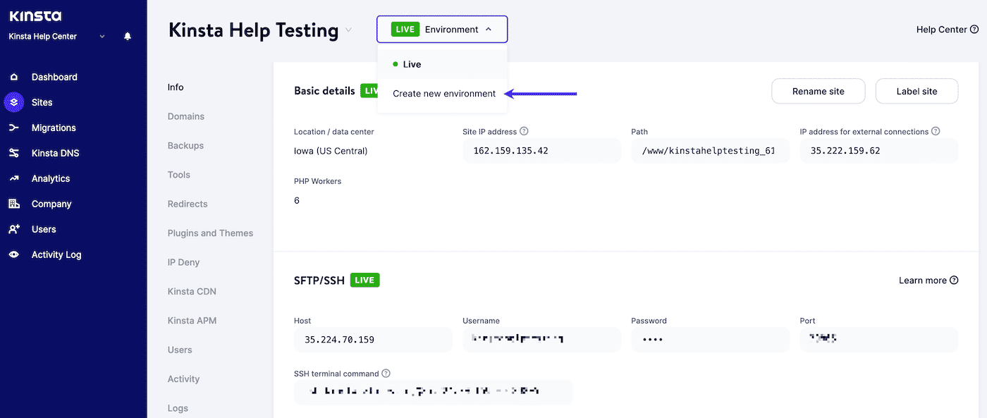 Creating a new Kinsta staging environment in MyKinsta, with a purple arrow pointing to the link for 