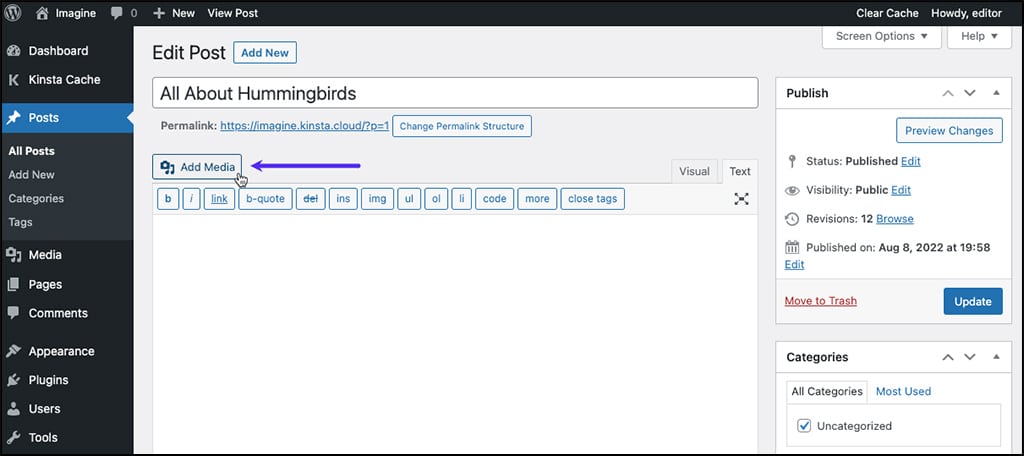 Screenshot: Auswahl der Schaltfläche Medien hinzufügen im klassischen WordPress-Editor