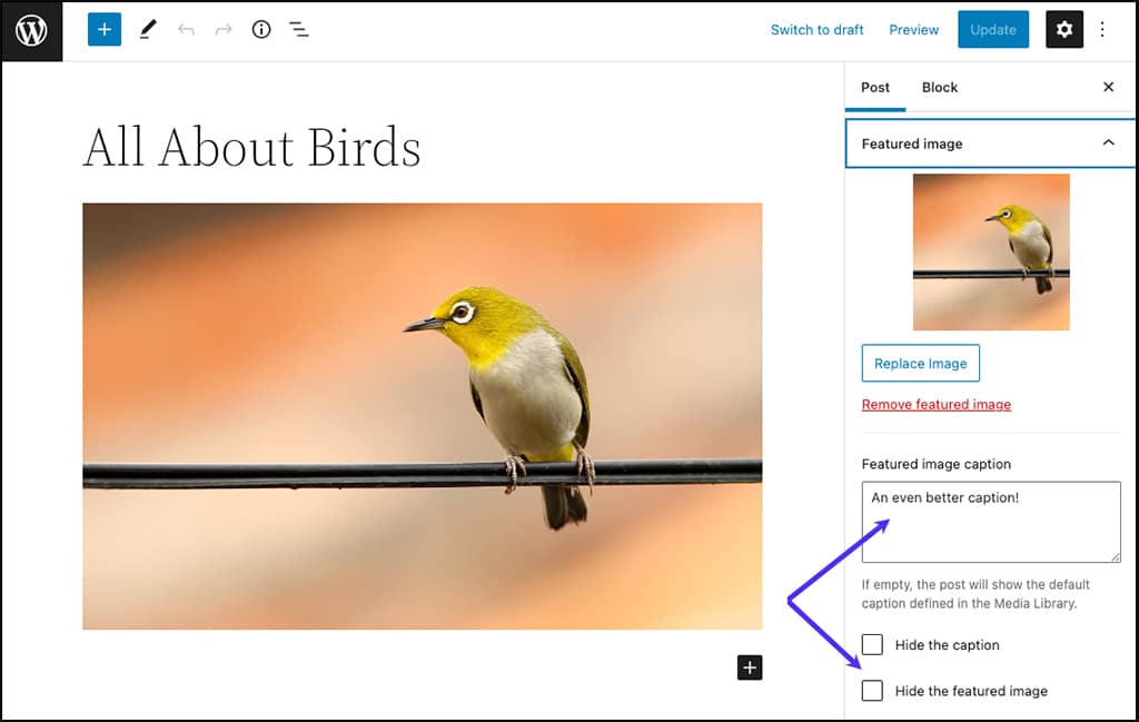 Screenshot: Zusätzliche Steuerelemente, die durch das FSM Custom Featured Image Caption Plugin hinzugefügt wurden