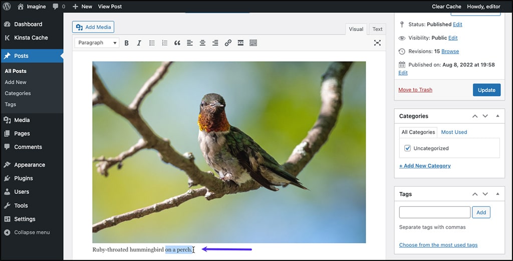 Screenshot: Bearbeiten einer bestehenden Bildunterschrift wie normaler Text im WordPress Classic Editor