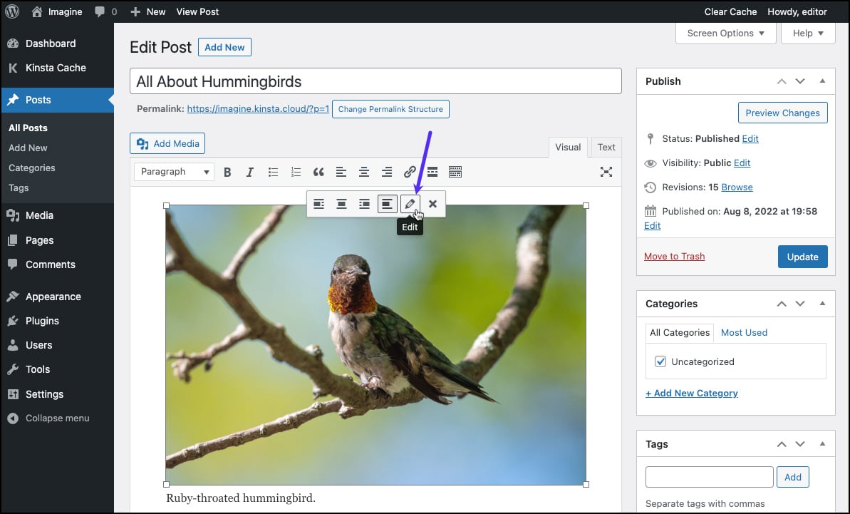 Screenshot: Die Symbolleiste für die Bildsteuerung im WordPress Classic Editor