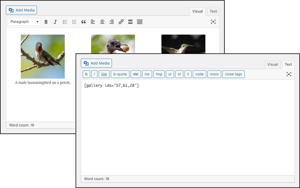 Screenshot: Enthüllung des Bildergalerie-Shortcodes im WordPress Classic Editor