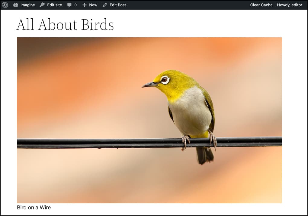 Screenshot: Ein Bild, das mit einer Bildunterschrift angezeigt wird